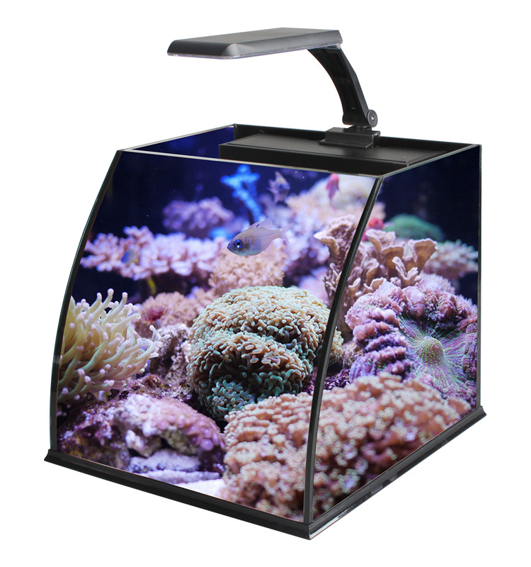 Marine Aquarium Cube - Ultra Clear Glass Mini Salt Water