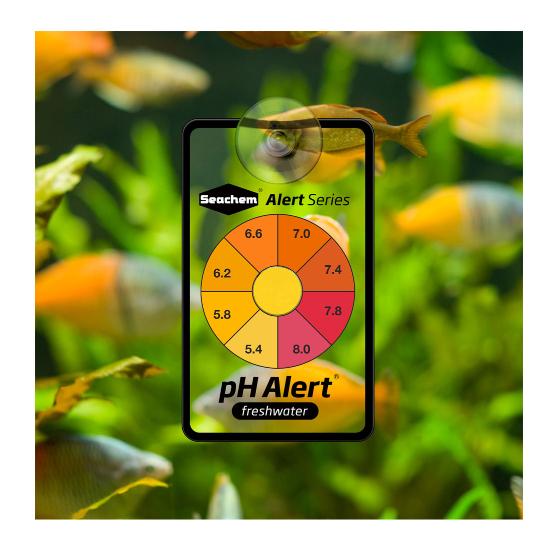 Seachem Water Testing PH Alert - Marine Aquarium Test Kit avaliação e preço