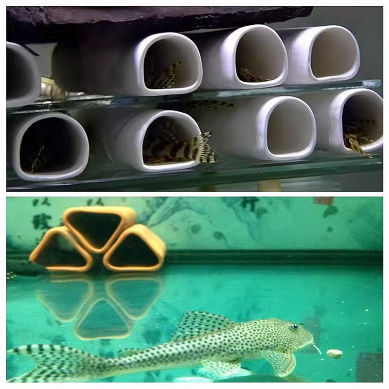 For Fish Shrimp Fish Tank Deco - Marine Aquarium For Sale avaliação e preço