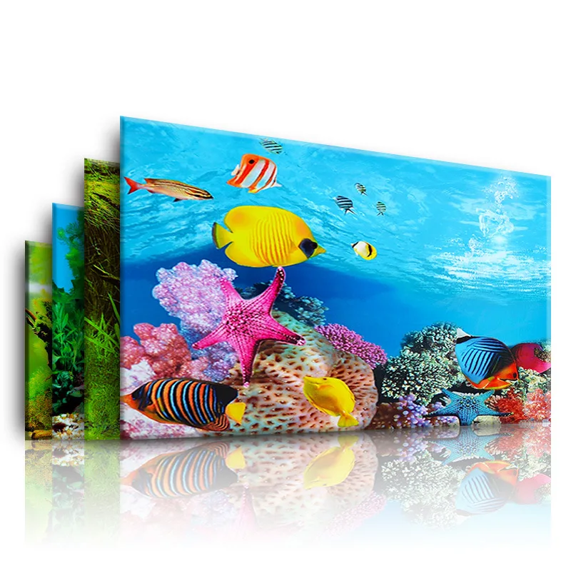 Background for Aquarium 3d  St - Marine Aquarium For Sale avaliação e preço