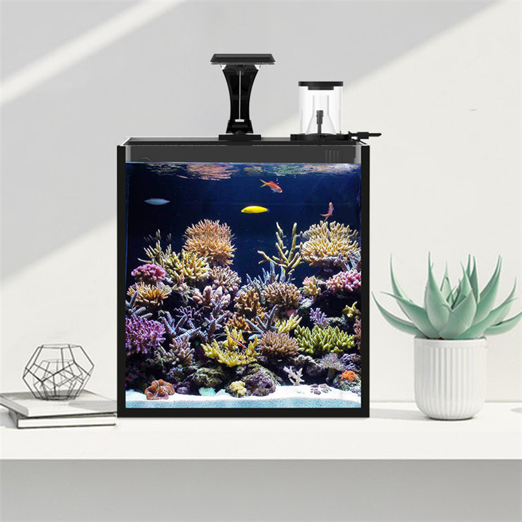 Skynuo Ultra Clear Glass Mini  - Marine Aquarium Cube avaliação e preço