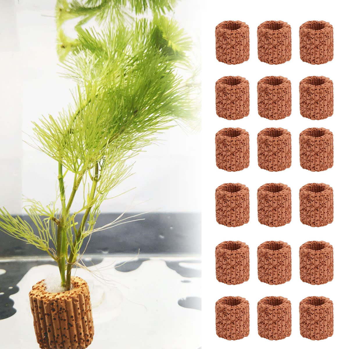10/20Pcs Aquatic Water Plant F - Marine Aquarium For Sale avaliação e preço