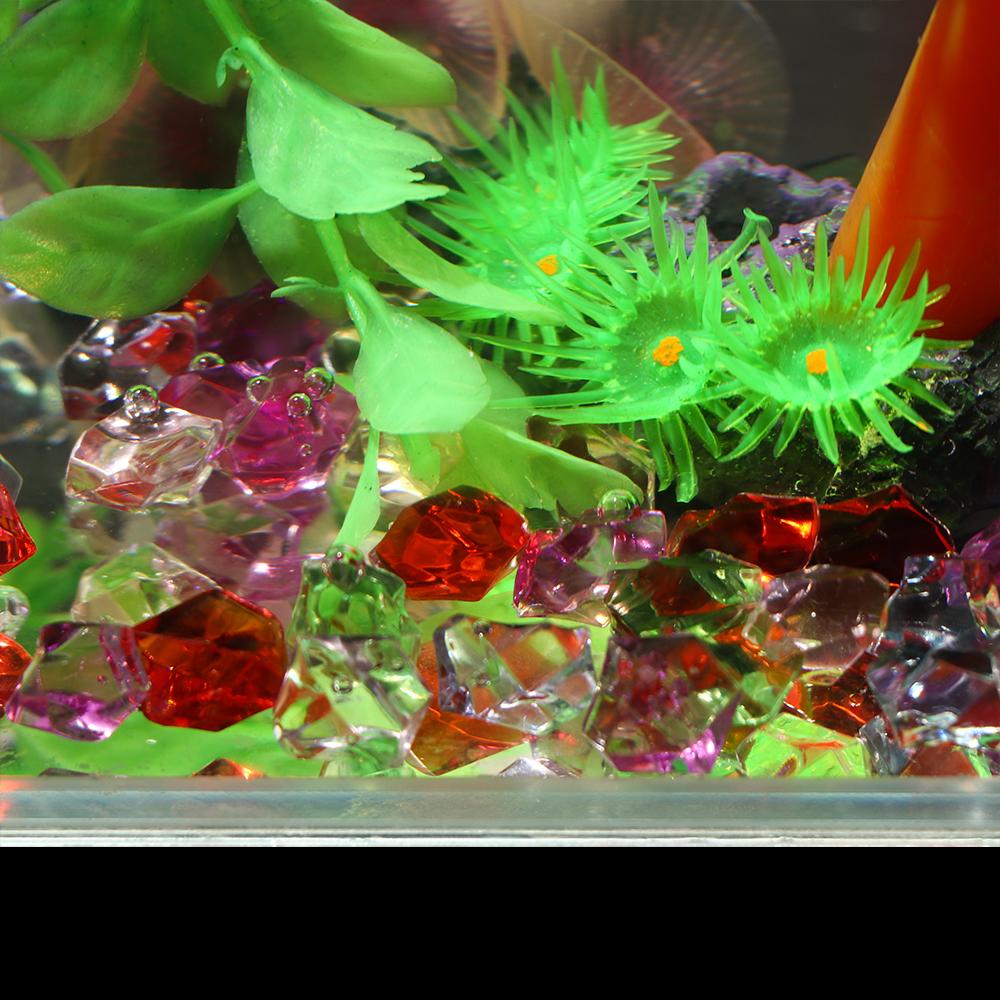Confetti Aquarium Landscape Co - Marine Aquarium Cube avaliação e preço
