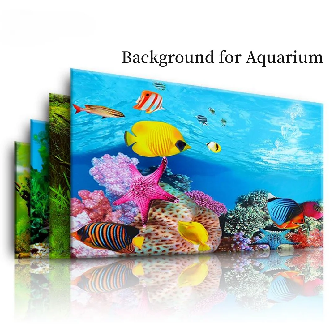 Background Aquarium 3D Sticker - Marine Aquarium For Sale avaliação e preço