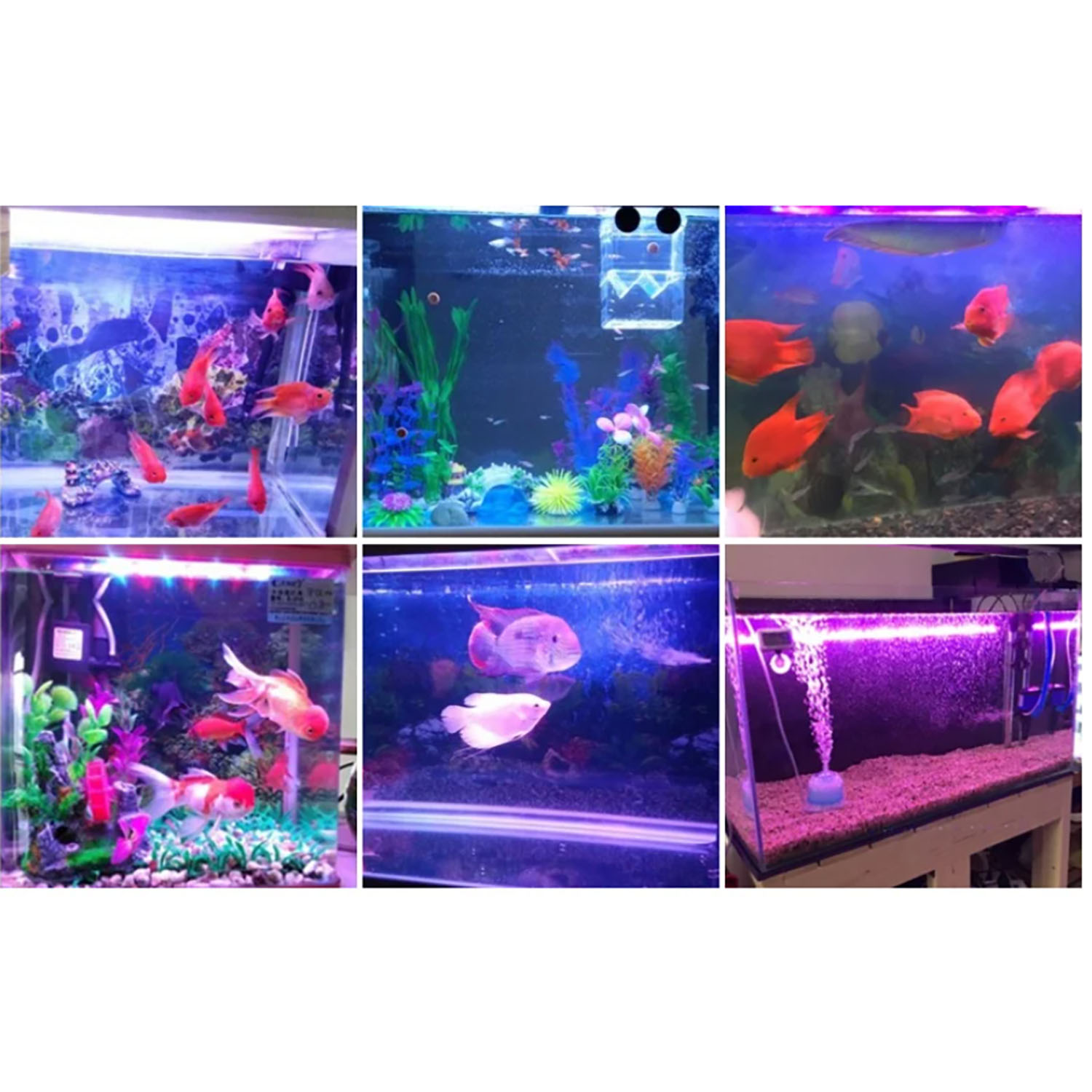50W 60W 70W 100W RGB 26-28V Hi - Aquarium Marine Color avaliação e preço
