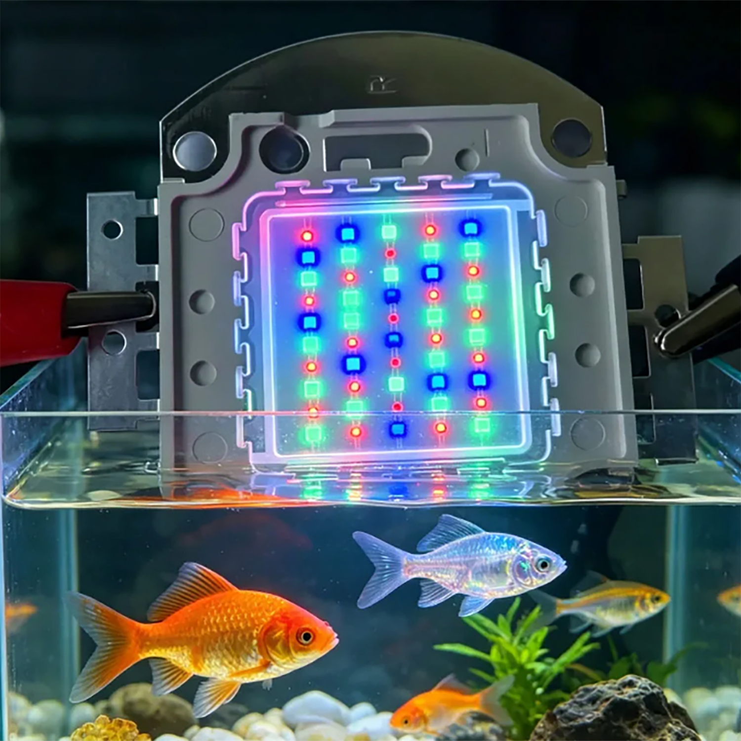 50W 60W 70W 100W RGB 26-28V Hi - Aquarium Marine Color avaliação e preço
