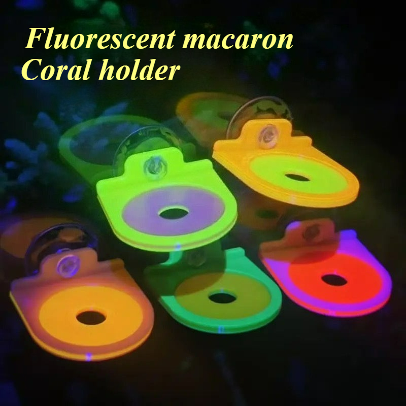 Color Random Coral Frag Holder - Aquarium Marine Color avaliação e preço