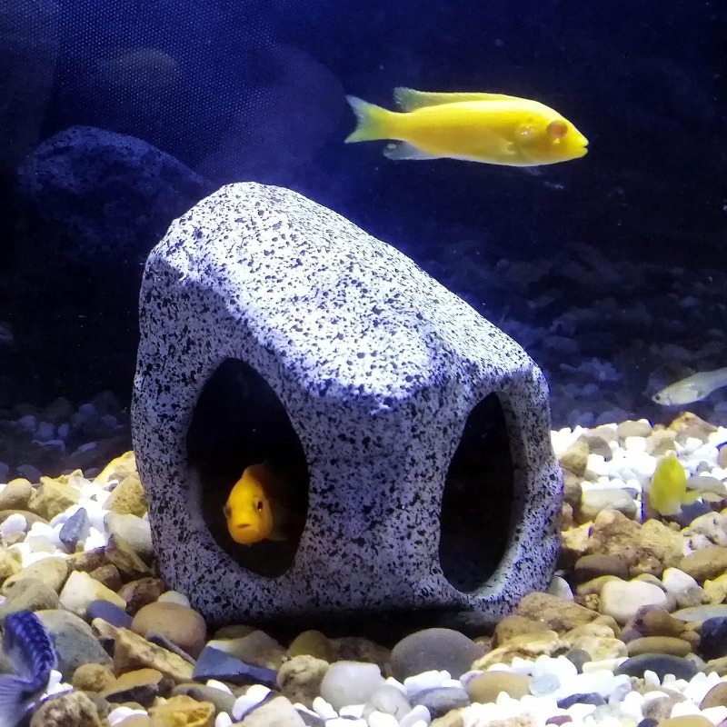 Fish Tank Cave Stone Landscapi - Marine Aquarium For Sale avaliação e preço