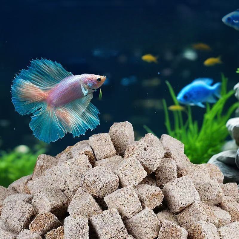 Natural Freeze Dried Bloodworm - Marine Aquarium Cube avaliação e preço