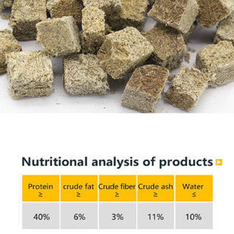 Natural Freeze Dried Bloodworm - Marine Aquarium Cube avaliação e preço