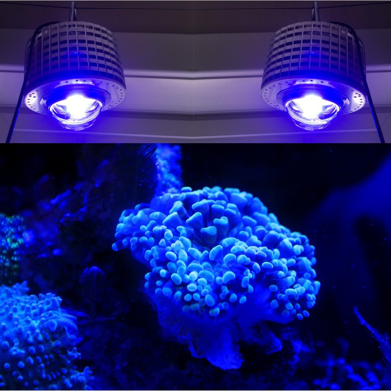LED Aquarium Lighting Full Spe - Aquarium Marine Color avaliação e preço