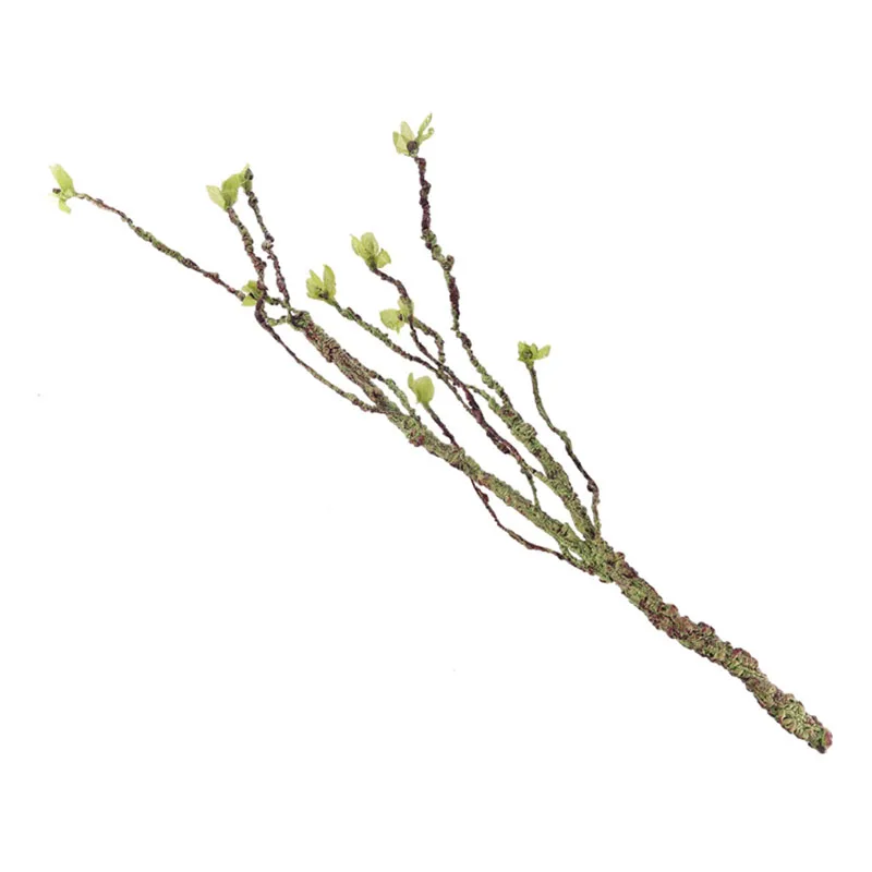 Vines Decor Climbing Branches  - Marine Aquarium For Sale avaliação e preço