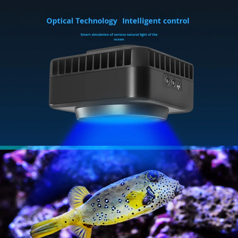 Jebao GSQ Smart Marine Coral L - Aquarium Marine Color avaliação e preço